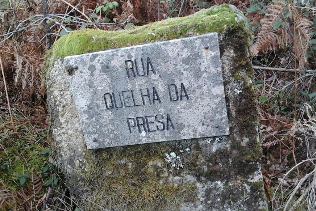 Villa Casa Quelha Da Presa Espinho  Exterior foto