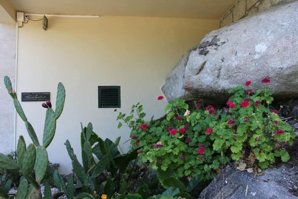 Villa Casa Quelha Da Presa Espinho  Exterior foto